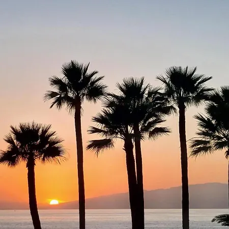 Retro Boat كالاو سالفاجي