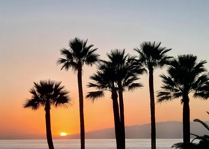 Retro Boat Callao Salvaje